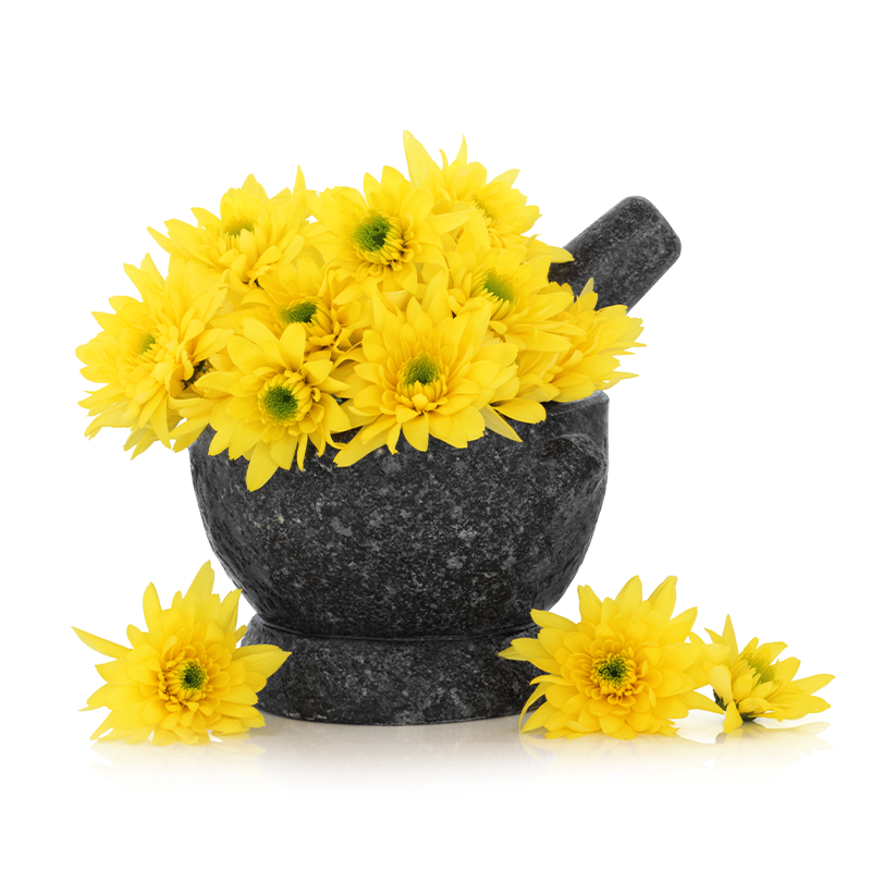 Chrysanthemum Flowers (Dried Petal)