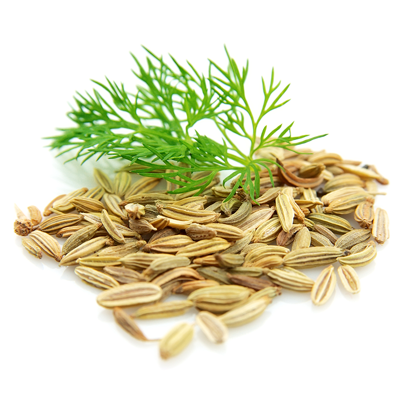 Fennel Seed Powder