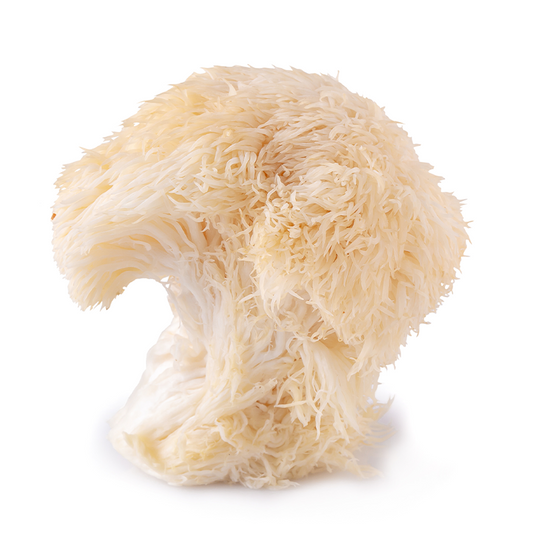 Lion's Mane Mushroom Powder