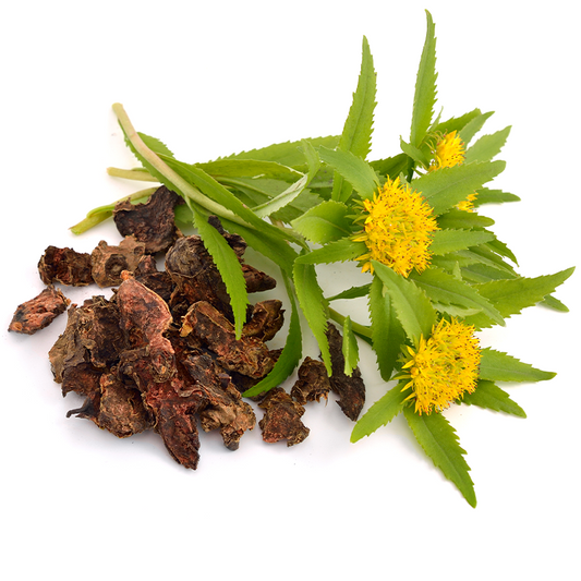 Rhodiola Powder