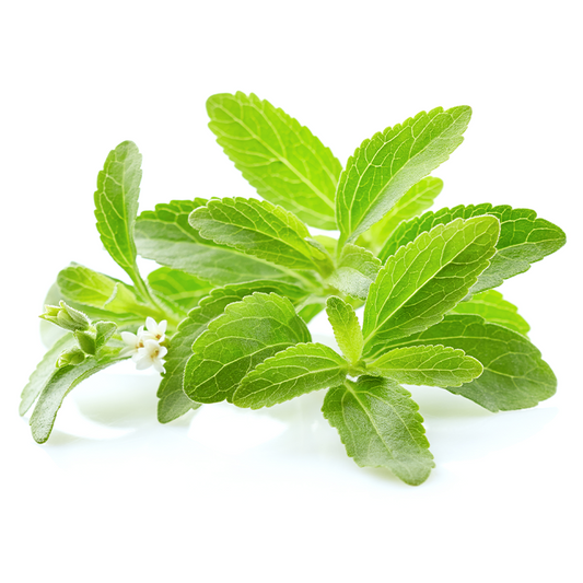 Stevia Leaf