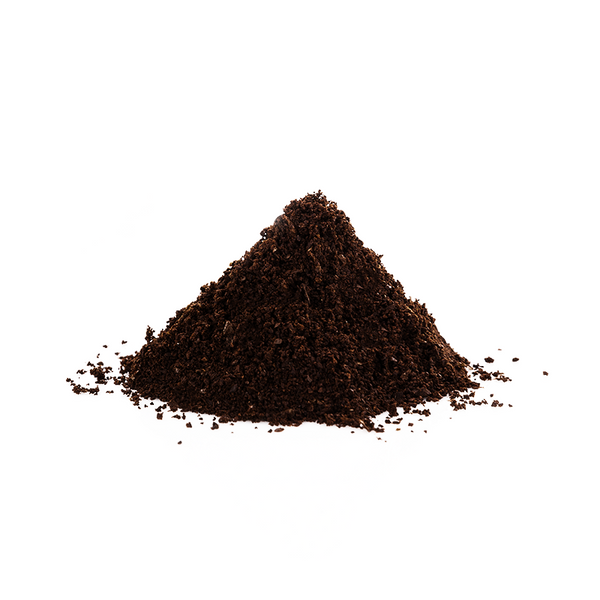 Madagascar Vanilla Bean Powder